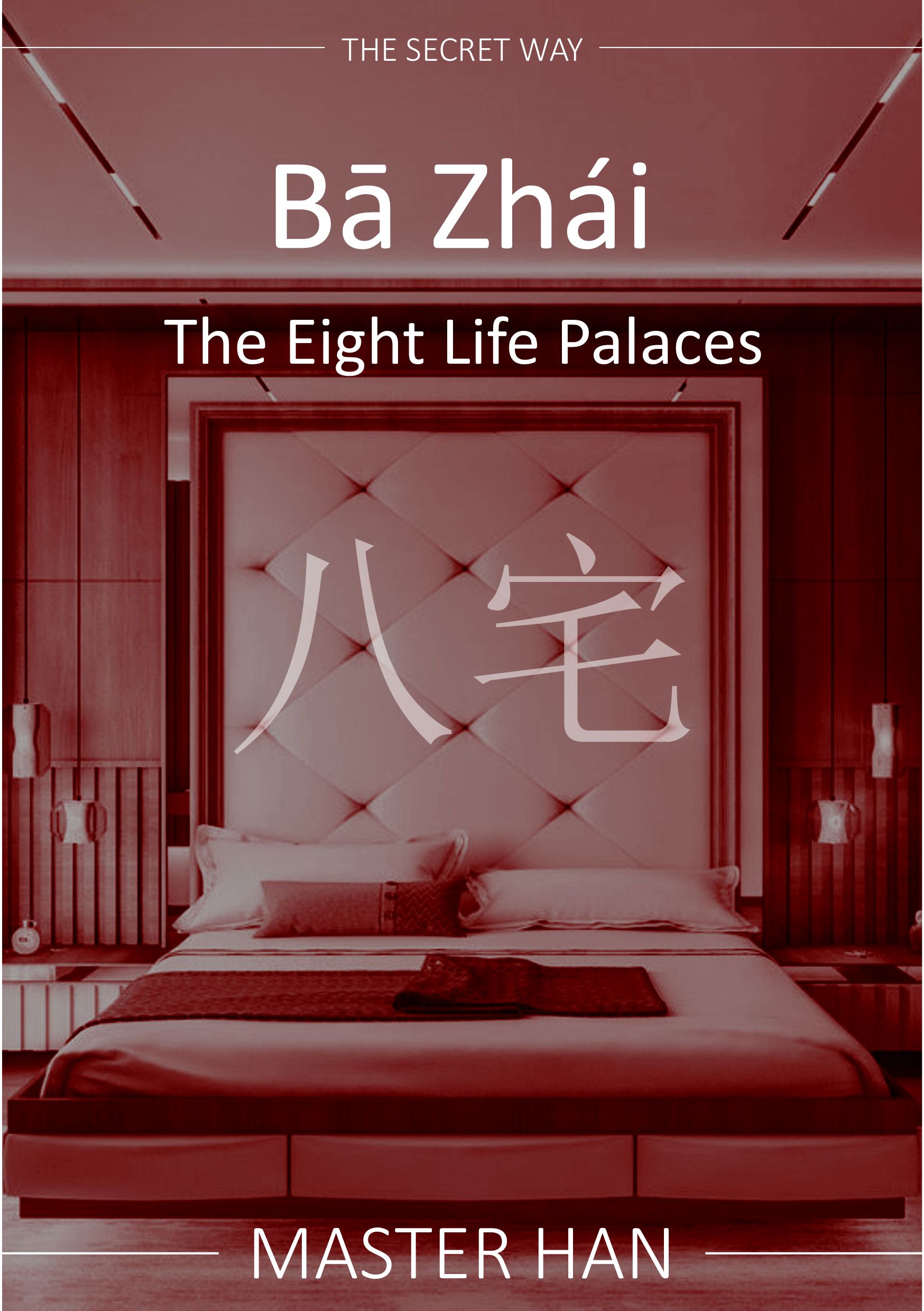 Bā Zhái - The Eight Life Palaces - Ebook